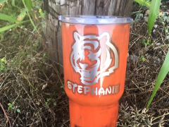 bengals01