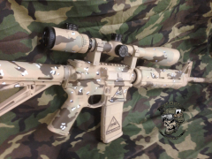 desertstorm002