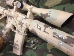 desertstorm005