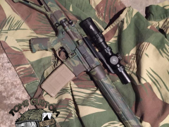 Rhodesian003