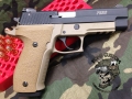 We coated the Frame Only on this Sig P226