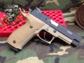 We coated the Frame Only on this Sig P226