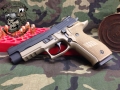 We coated the Frame Only on this Sig P226