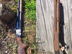 Side by Side comparison
